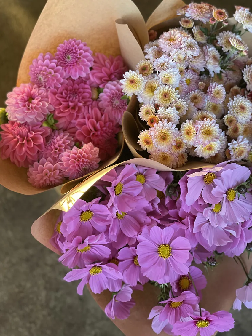 Duo/Trio of Autumn flowers (2-3x bunches)