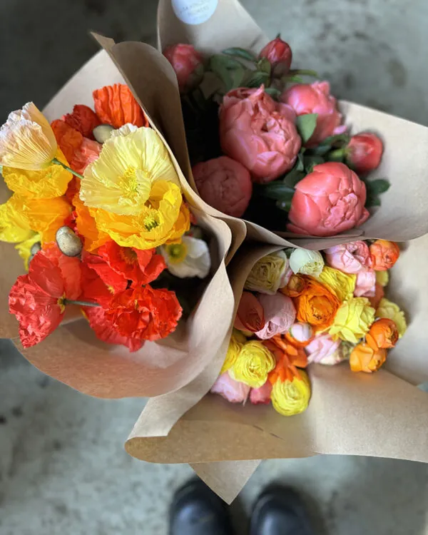 Duo/Trio of Spring flowers (2-3x bunches)