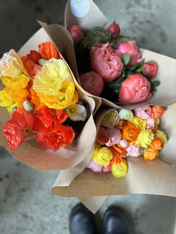 Duo/Trio of Spring flowers (2-3x bunches)
