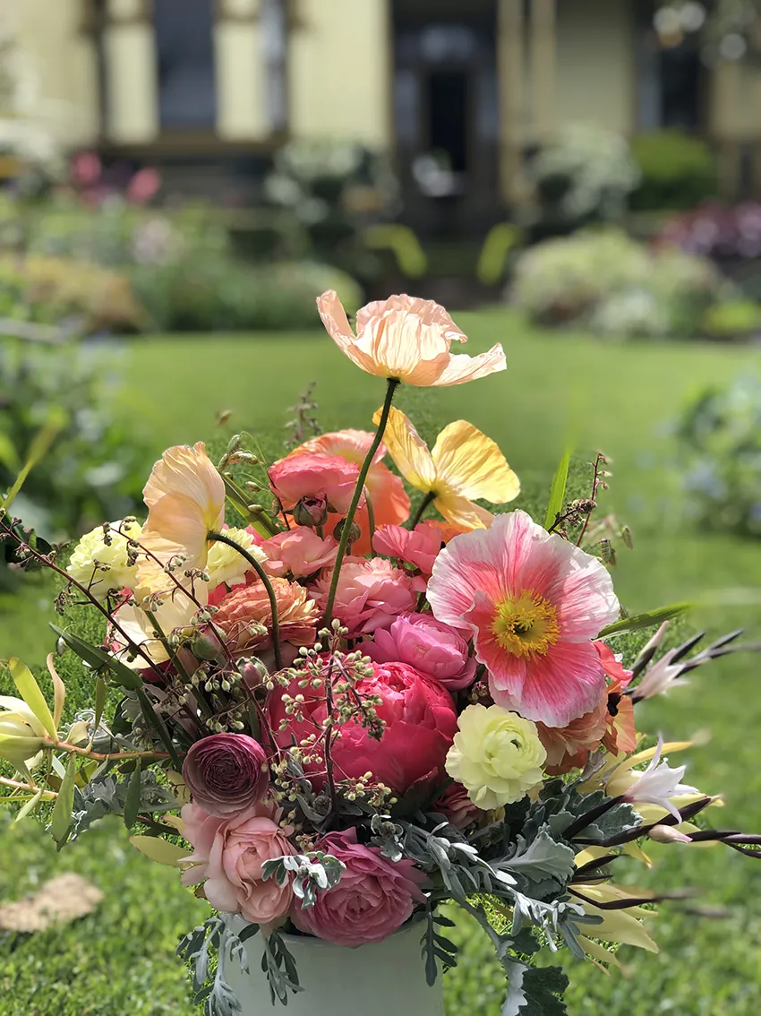 Peony workshop + high tea at our farm Spring 2026 - Image 4