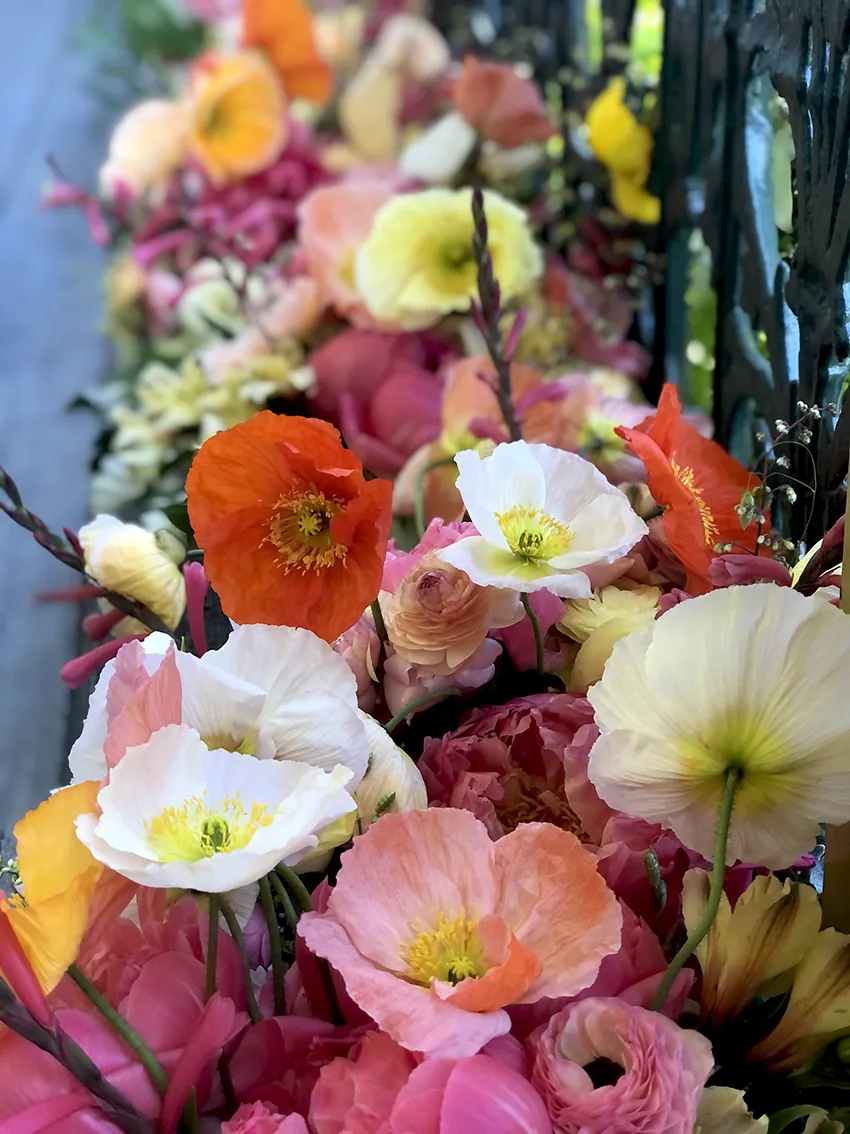 Peony workshop + high tea at our farm Spring 2026 - Image 3