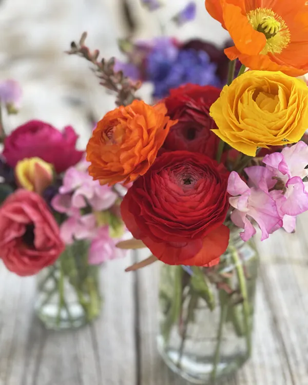 Mini Spring collection (x3 posies)