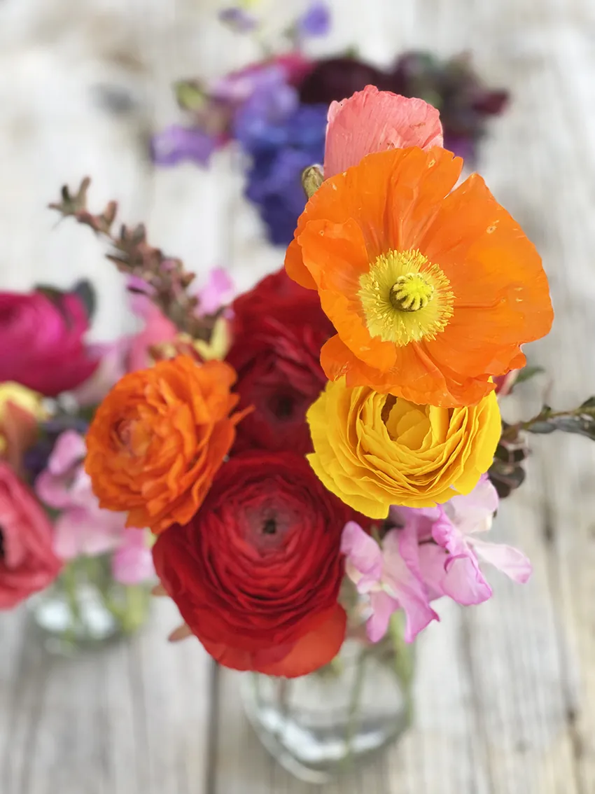 Mini Spring collection (x3 posies) - Image 11