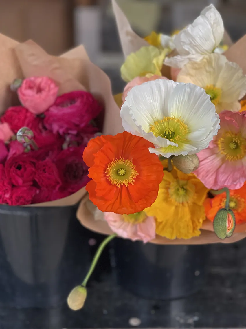 Duo/Trio of Spring flowers (2-3x bunches) - Image 12