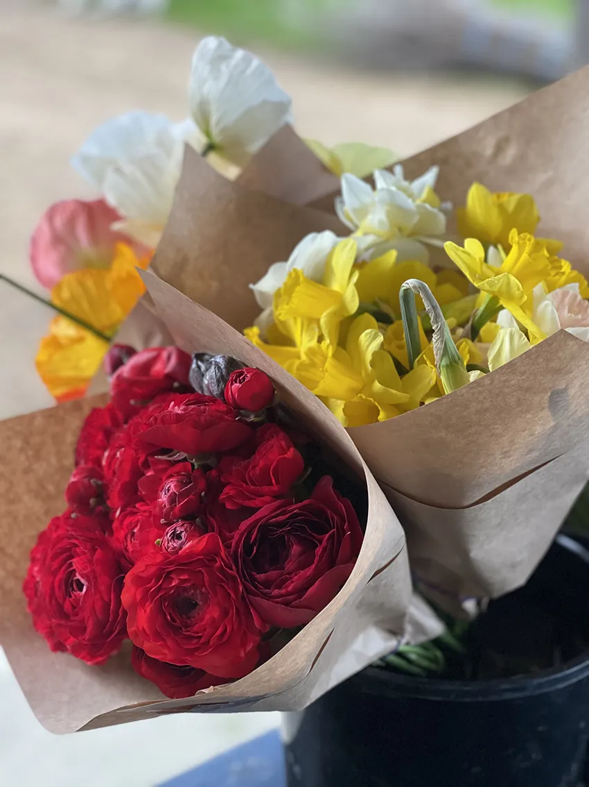 Duo/Trio of Spring flowers (2-3x bunches) - Image 10