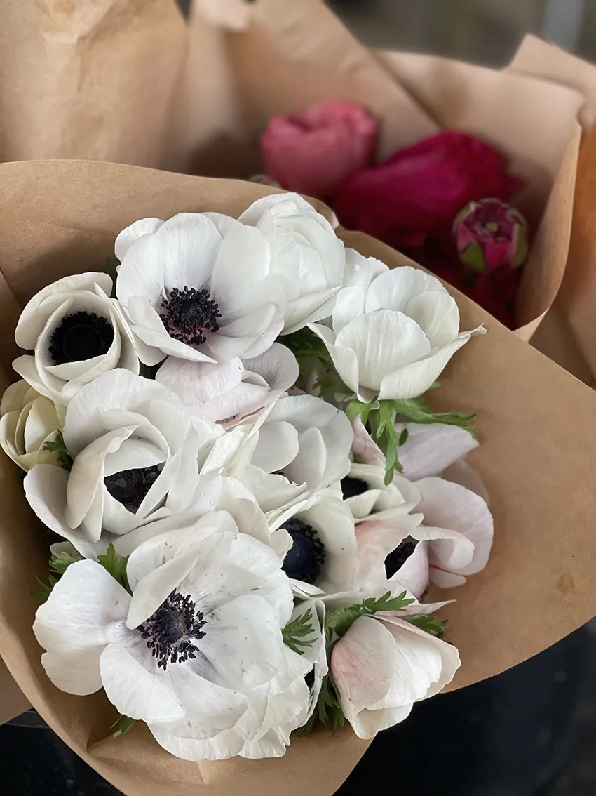 Duo/Trio of Spring flowers (2-3x bunches) - Image 9