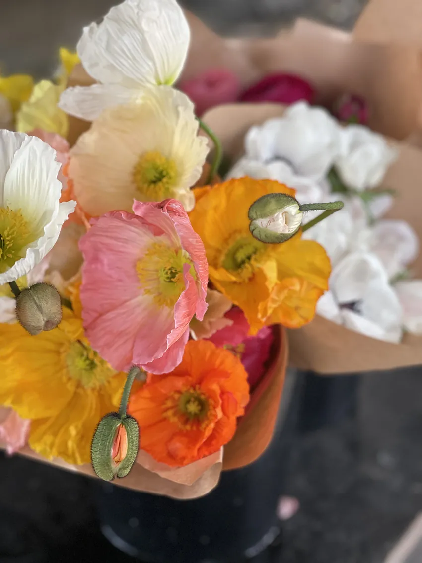 Duo/Trio of Spring flowers (2-3x bunches) - Image 8