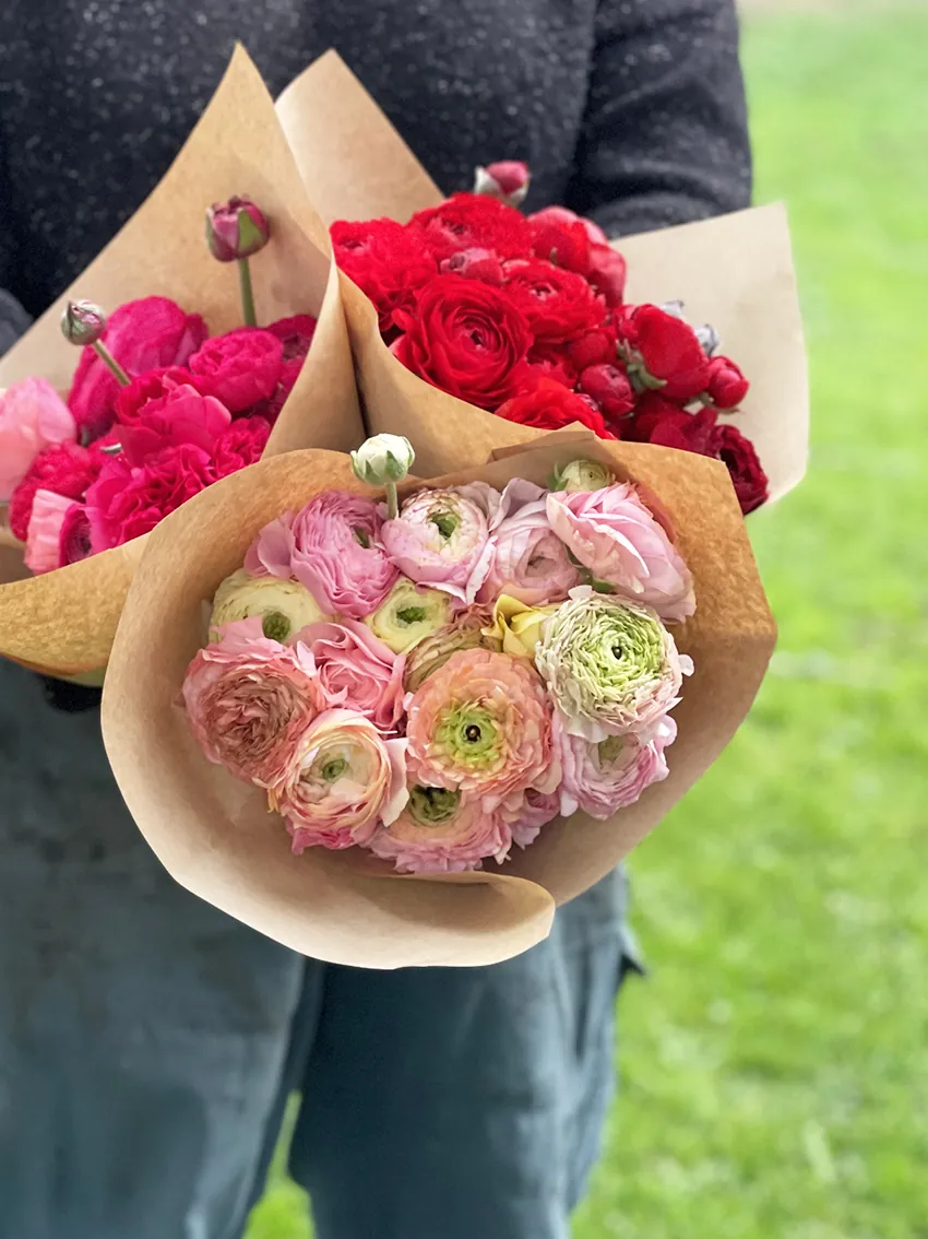 Duo/Trio of Spring flowers (2-3x bunches) - Image 7