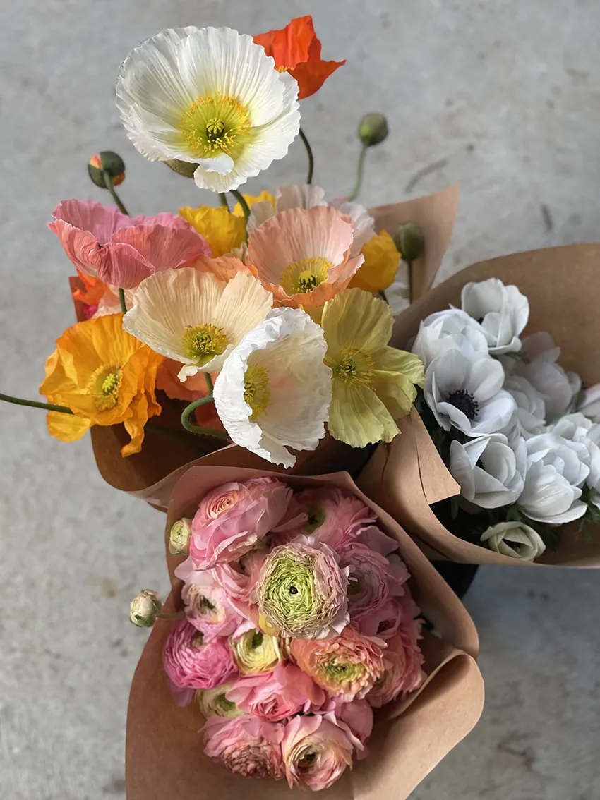 Duo/Trio of Spring flowers (2-3x bunches) - Image 6