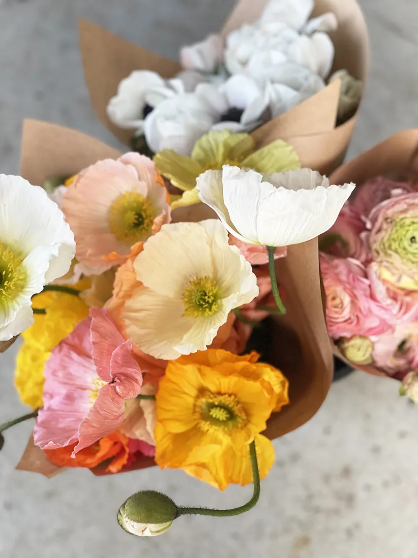Duo/Trio of Spring flowers (2-3x bunches) - Image 5